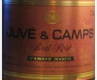 Juvé y Camps Brut Pinot Noir