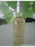 Jean Rivier - sauvignon blanc