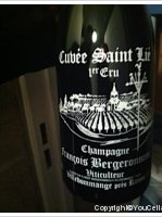 Florent Bergeronneau-Marion - Cuvée Saint-Lie