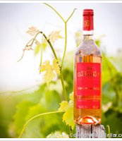Domaine Gardrat, Vicus Novus