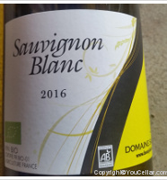 Cave Saint Cyr - Sauvignon blanc
