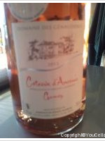 Domaine des Génaudières - Gamay