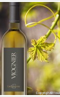 la courtoise - Viognier