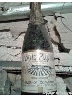 Domaine Overnoy-Crinquand