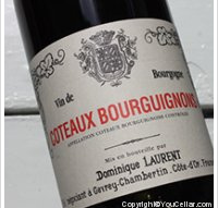 Domaine Dominique Laurent