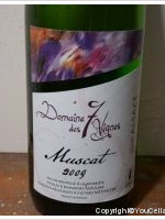 Domaine des 7 Vignes
