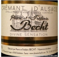 Pierre et Frédéric Becht - Divine Sensation