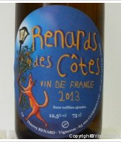 Renards des côtes