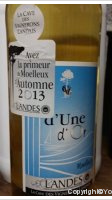 D'Une d'Or