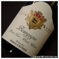 Domaine Hubert Lignier - Pinot noir Plant Gilbert