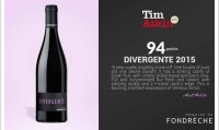 Domaine de Fondrèche - Divergente