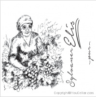 Weingut Brand - Sylvaner Elis
