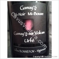 Domaine Gilles Bonnefoy - Gamay's Mi-Noir Mi-Bouze