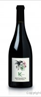 Clos Troteligotte - K-Tannat