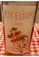 Dalaheim Castellum - Mycelium muscat sylvaner